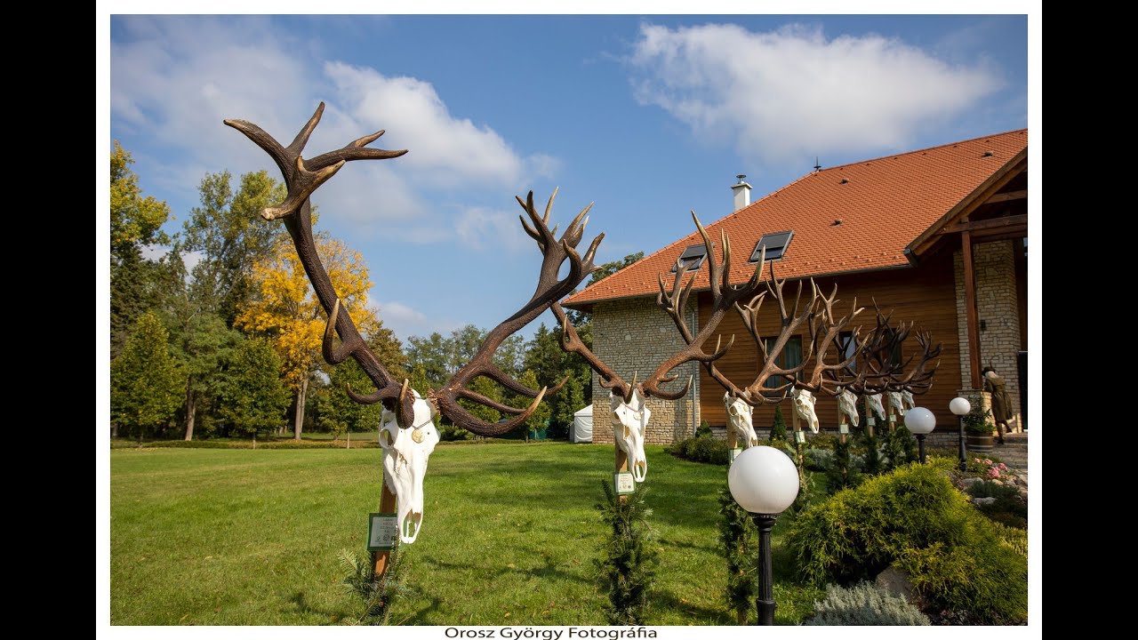 SEFAG Trófeaszemle 2021 Trophy review 2021 SEFAG