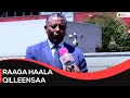 Raaga Haala Qilleensaa Raaga Haala Qilleensaa