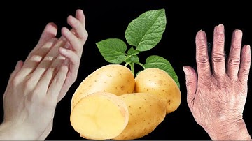 Không Còn Một Nếp Nhăn Và Đồi Mồi , Chỉ Với Một Củ Khoai Tây / Làn Da Như Tuổi 20