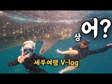 세부 브이로그ㅣ고래상어 보고 힐링하고💕 가와산에서 PTSD😵‍💫 thumbnail