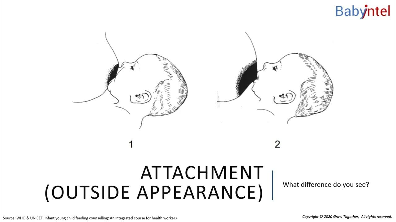 how-breastfeeding-works-lesson-1-2-6-good-and-poor-attachment-youtube