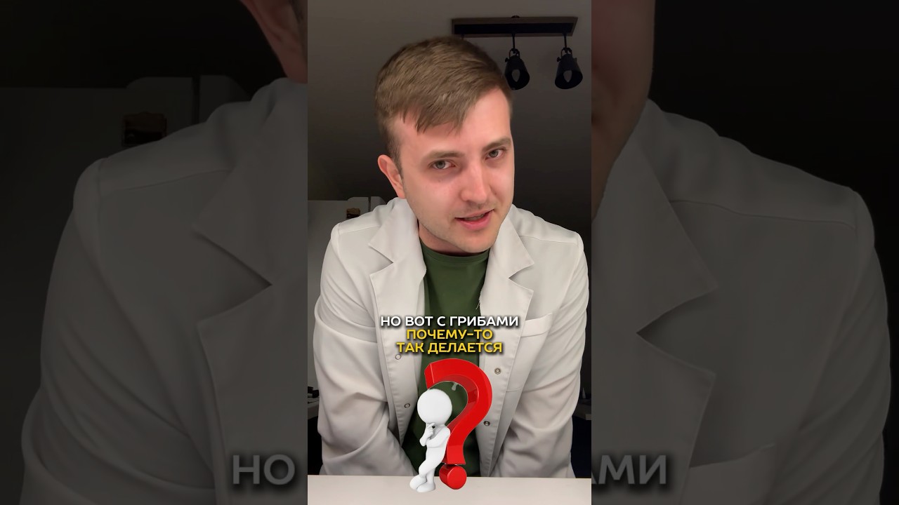 Много белка в грибах — заблуждение?