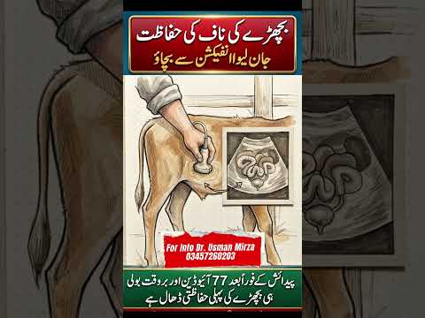 Naval Cord Infection Calf #drusmanmirza # #shortvideo #shorts #short #reels