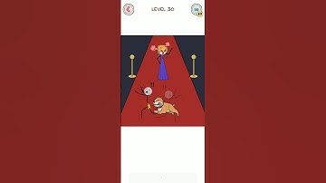 Thief Puzzle - Level 30