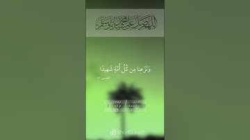 سورة القصص آيه (73،75).