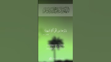 سورة القصص آيه (73،75).