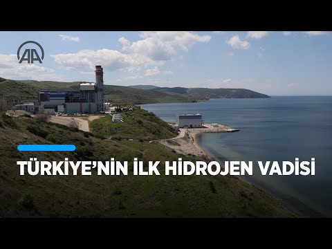 Video: Neden daha fazla çocuk doğurmak ve büyütmek gerekiyor?