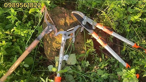 KÌM KÉO CẮT CÀNH CỘNG LỰC| ĐẦU KÉO CẮT CÀNH TO DẬT CÀNH TO TRÊN CAO