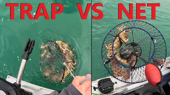 WHICH HOOP NET IS BETTER??  Dungeness Crab & Lingcod FISHING