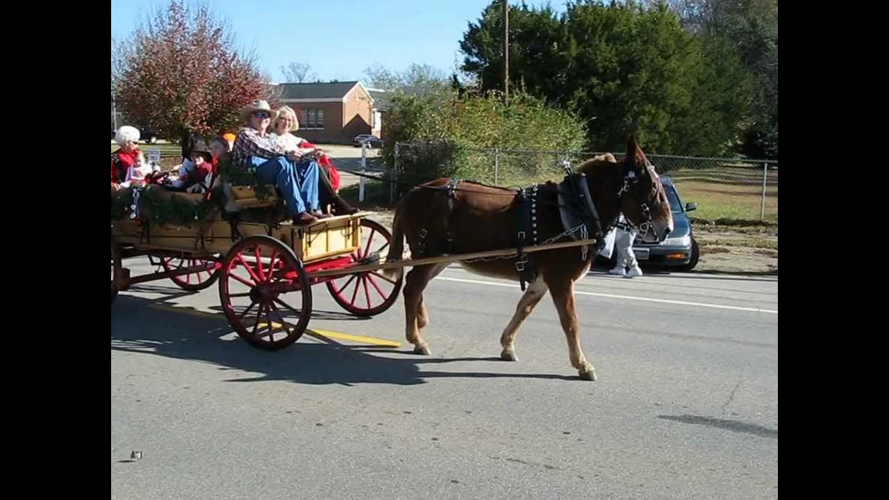 coffeeville al christmas parade mules youtube florence al christmas parade