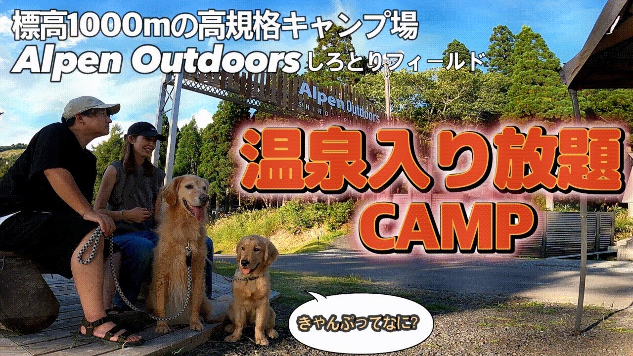 【犬連れ夫婦キャンプ】天然温泉入り放題の高規格キャンプ場　Alpen Outdoors しろとりフィールドで初キャンプ　ゴールデンレトリバー golden retriever 大型犬 子犬 パピー