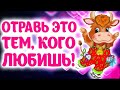 🌺 Разрешите Подарить Улыбку И Прекрасное Настроение!