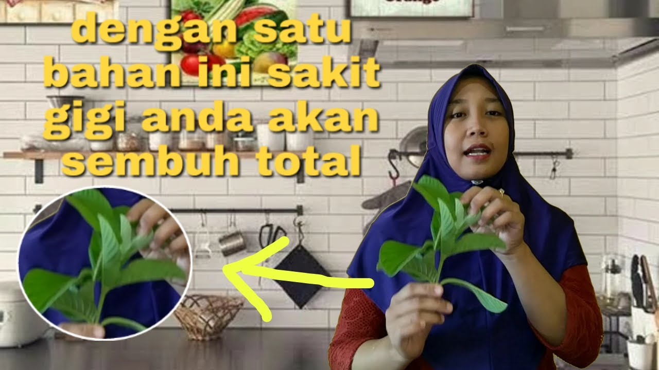 Cara mengobati sakit gigi dengan mudah | di jamin sembuh total 