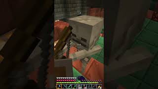 I am a really serious filmmaker (minecrafter)