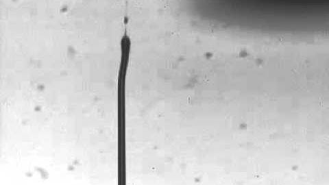 Capturing Inkjets (Recording speed: 250,000 fps)