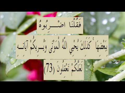 القران الكريم سورة البقرة الاية 73