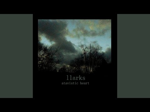 Llarks — Llarks Crown