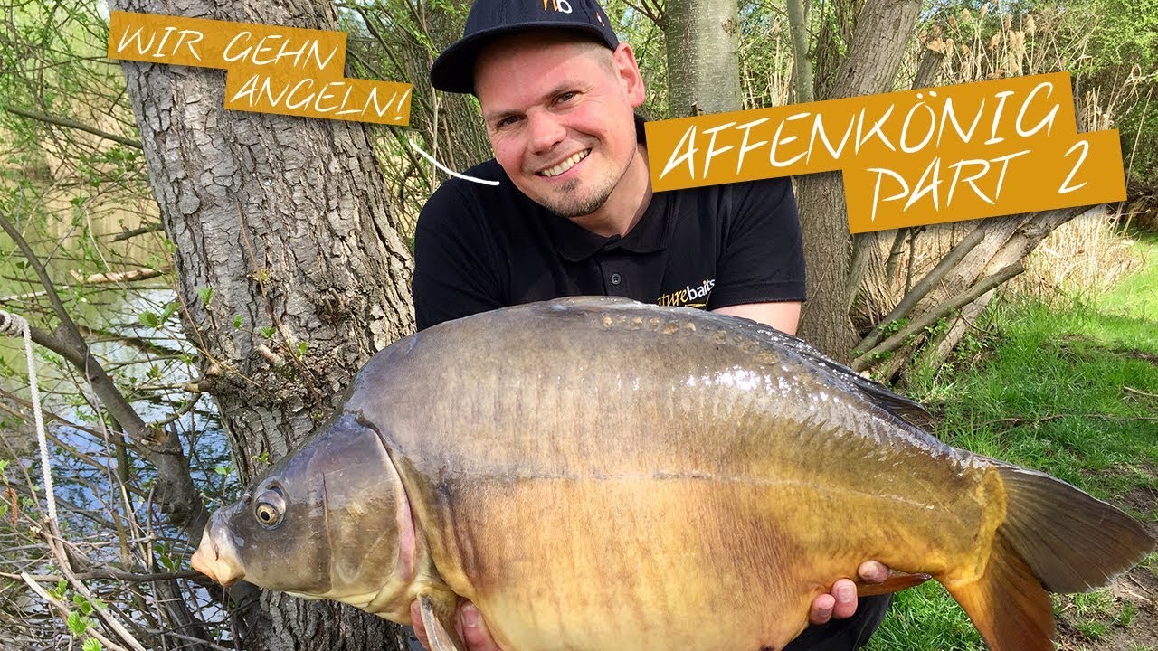 Welche Boilies Sind Die Besten Für Karpfen Der Boilietest | Karpfen fangen mit neuen Boilies - YouTube