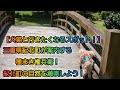 【犬猫と行きたくなるスポット！】三重県紀北町が案内する種まき権兵衛！紀北町の自然を満喫しよう！」