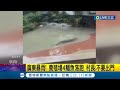 廣東暴雨! 養殖場圍欄遭沖垮4鱷魚落跑 村長警告&quot;不要出門&quot;│【國際大現場】20240504│三立新聞台