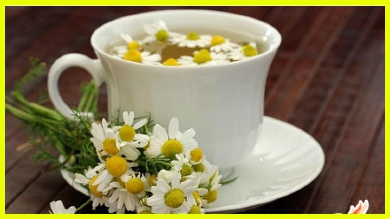 Белые выделения с кислым запахом:..