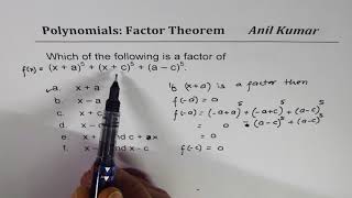 Polynomial Factor Theorem 3 Important Multiple Choice Questions Net Worth