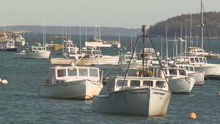 2022 Lobster Report shows a down year for Maine fishermen