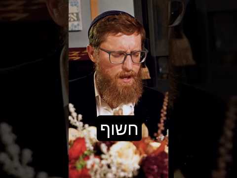 חשוף - יצחק מאיר ויענקי ברוין
