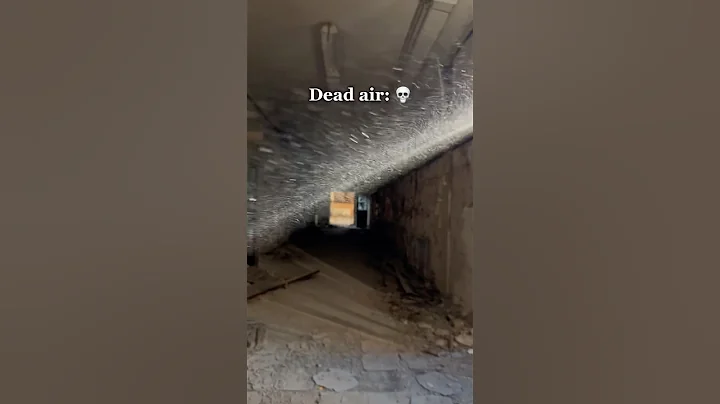 This is why you need to wear a respirator while urban exploring…