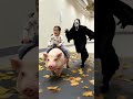 #tiktok #tiktokvideo #tiktokviral #shorts #funny #shortsvideo #shortsfeed #shortsviral 😂😂#shorts