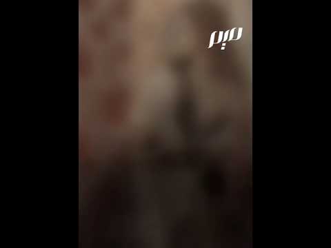 لبنى القرطبية الأندلسية