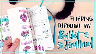 2018 Bullet Journal Flip Through || My 5th Bullet Journal