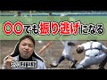 【ルールブック動画】〇〇でも振り逃げは成立する!?