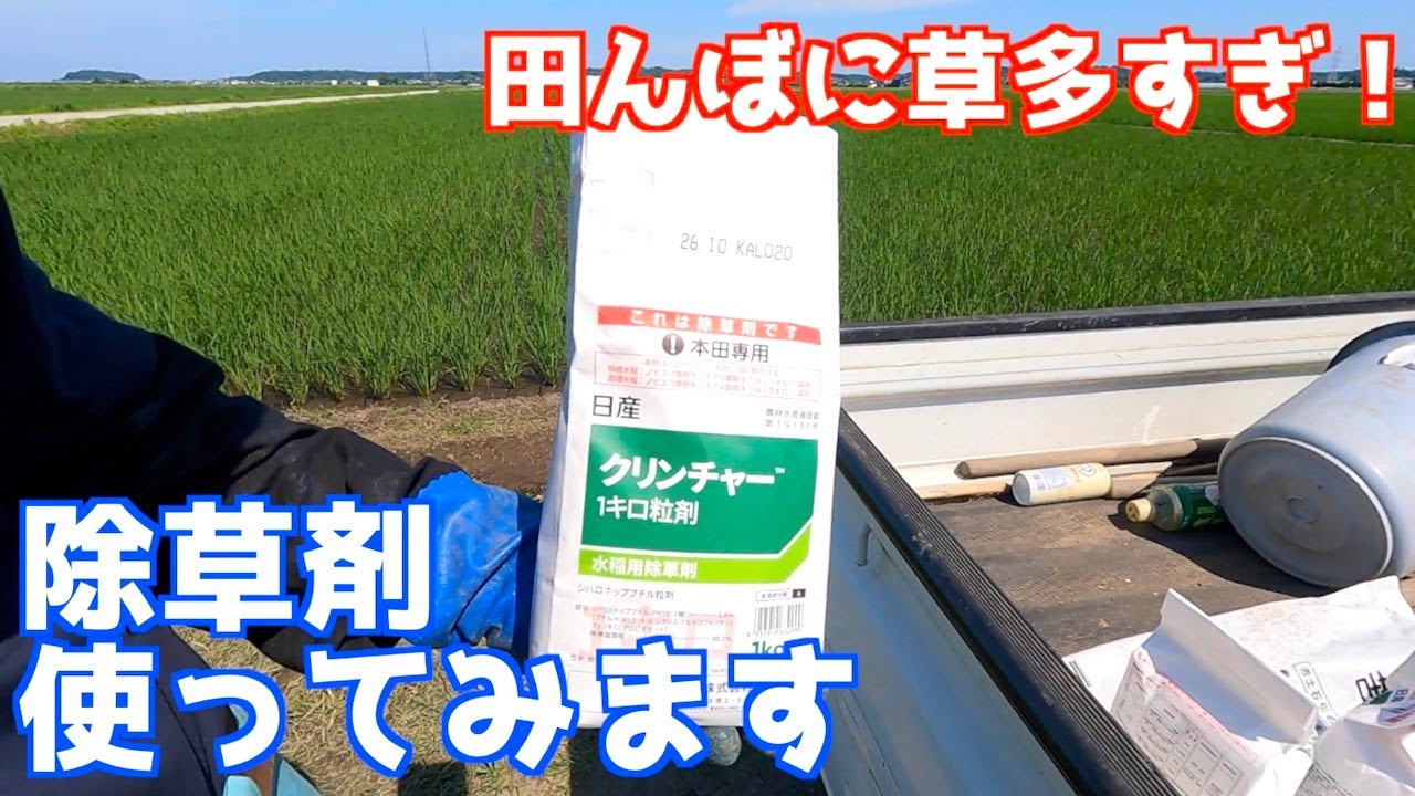 1町歩の田んぼが草だらけなので除草剤撒きます