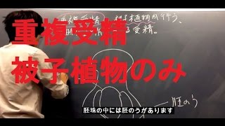 重複受精　高校生物