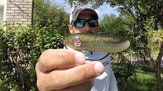 D.O.A. PT-7 Weedless Topwater Lure Review 