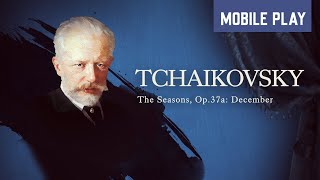 Tchaikovsky, The Seasons, Op.37A December Play Footage - Pianista Mobile