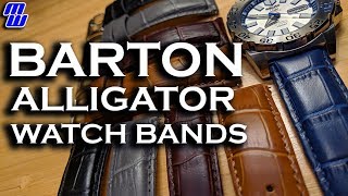 Barton Alligator Watch Bands review, Uncle Jimmy Hates My Face and I Sing a Song!