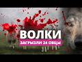 Ужас в Извалте