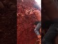 Digging Into the Earth – Real Underground House Begins! ⛏️