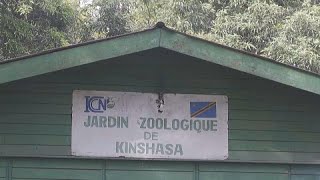 Le jardin zoologique de Kinshasa en quête de jouvence screenshot 3