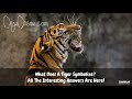 What Does A Tiger Symbolize? All The Interesting Answers Are Here!