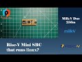 Milk-V Duo 256m: A Risc-V Mini SBC