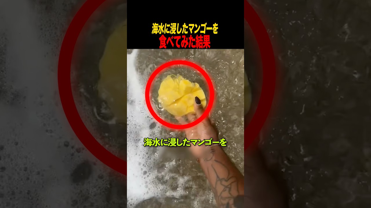 海水に浸したマンゴーを食べてみた結果