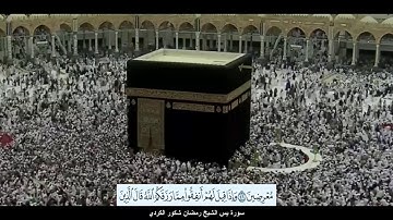 سورة يس الشيخ رمضان شكور الكردي مع ظهور الآيات بدقة عالية الوضوح