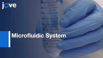 High-Throughput Microfluidic System To Develop Oral Multi-Species Biofilms l Protocol Preview