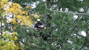 STARRS Tree Removal Rigging Speedline Demo
