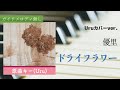 【ピアノ伴奏】ドライフラワー / Uru(原曲:優里)