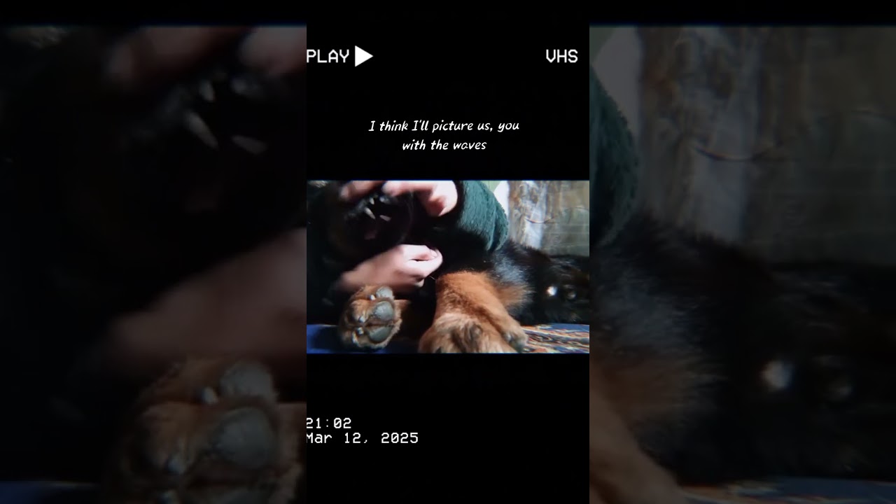 my love for him cannot be described 