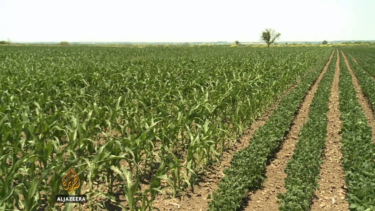 Njemačkim potomcima vraćena imovina u Srbiji